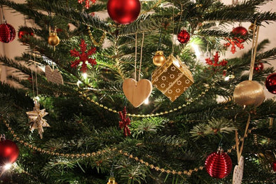 6 Essential Steps For Choosing the Right Christmas tree